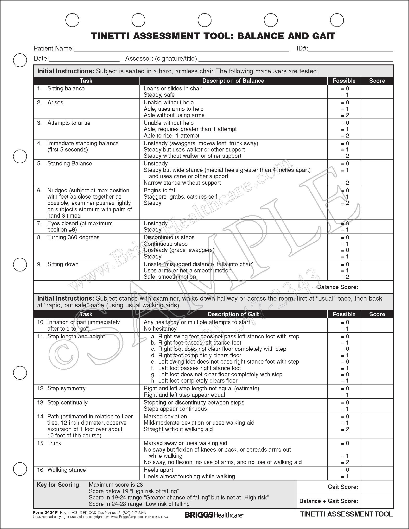tinetti assessment tool balance and gait form bed rail assessment form