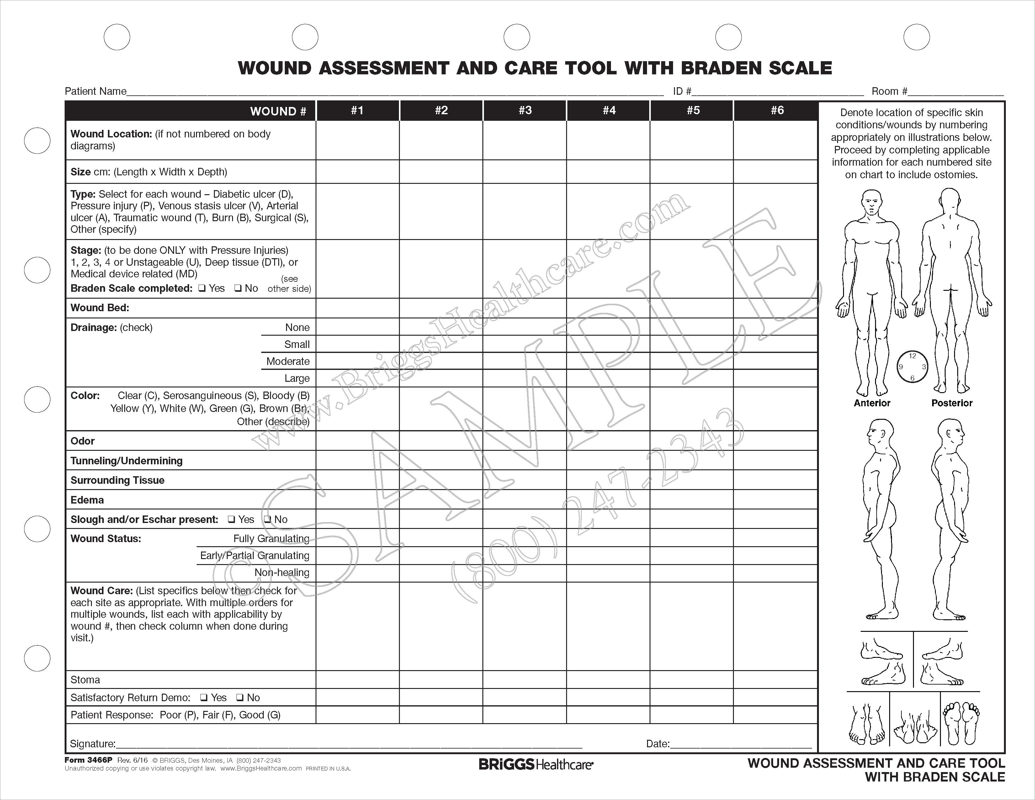 Wound Assessment Chart Sample