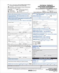 Oasis D Physical Therapy Discharge Assessment Digital Form