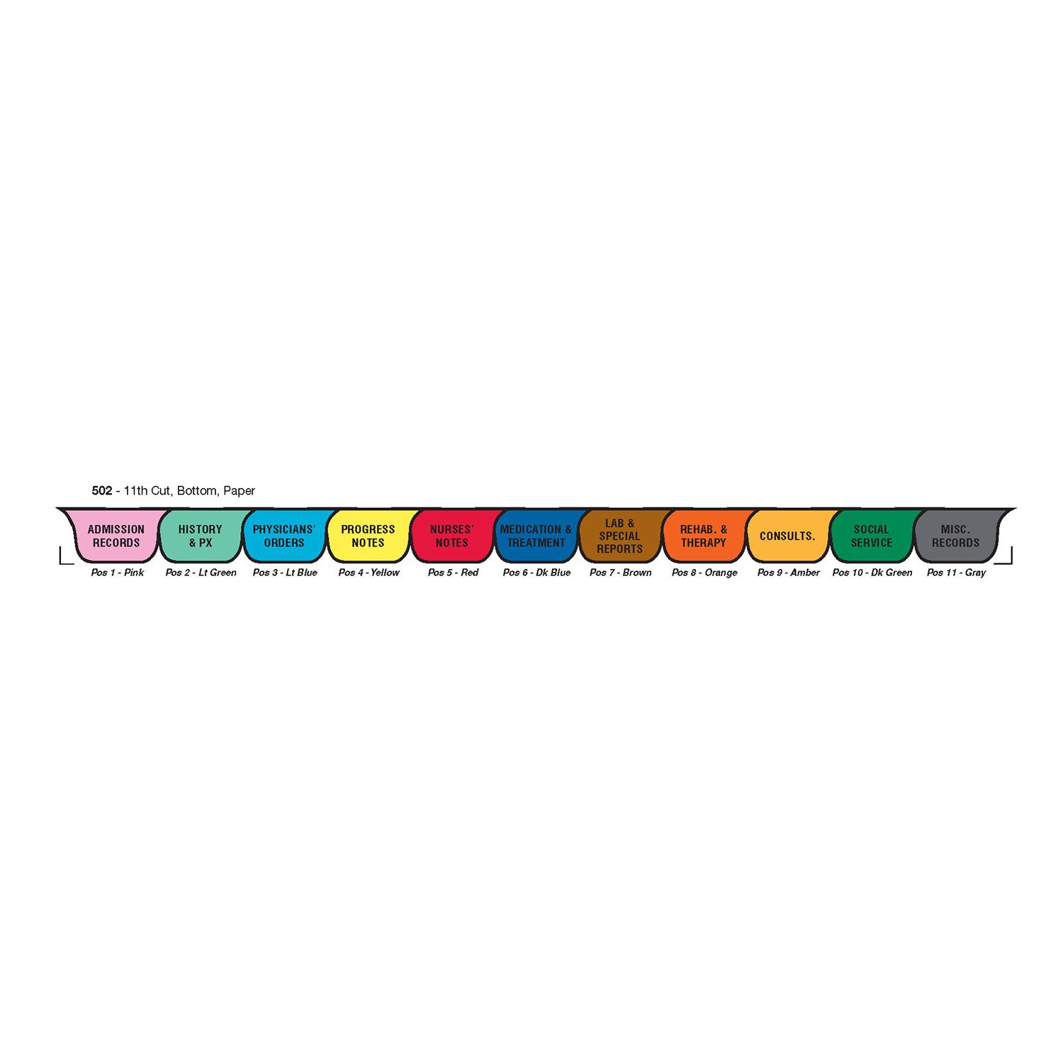 Long Term Care Chart Dividers