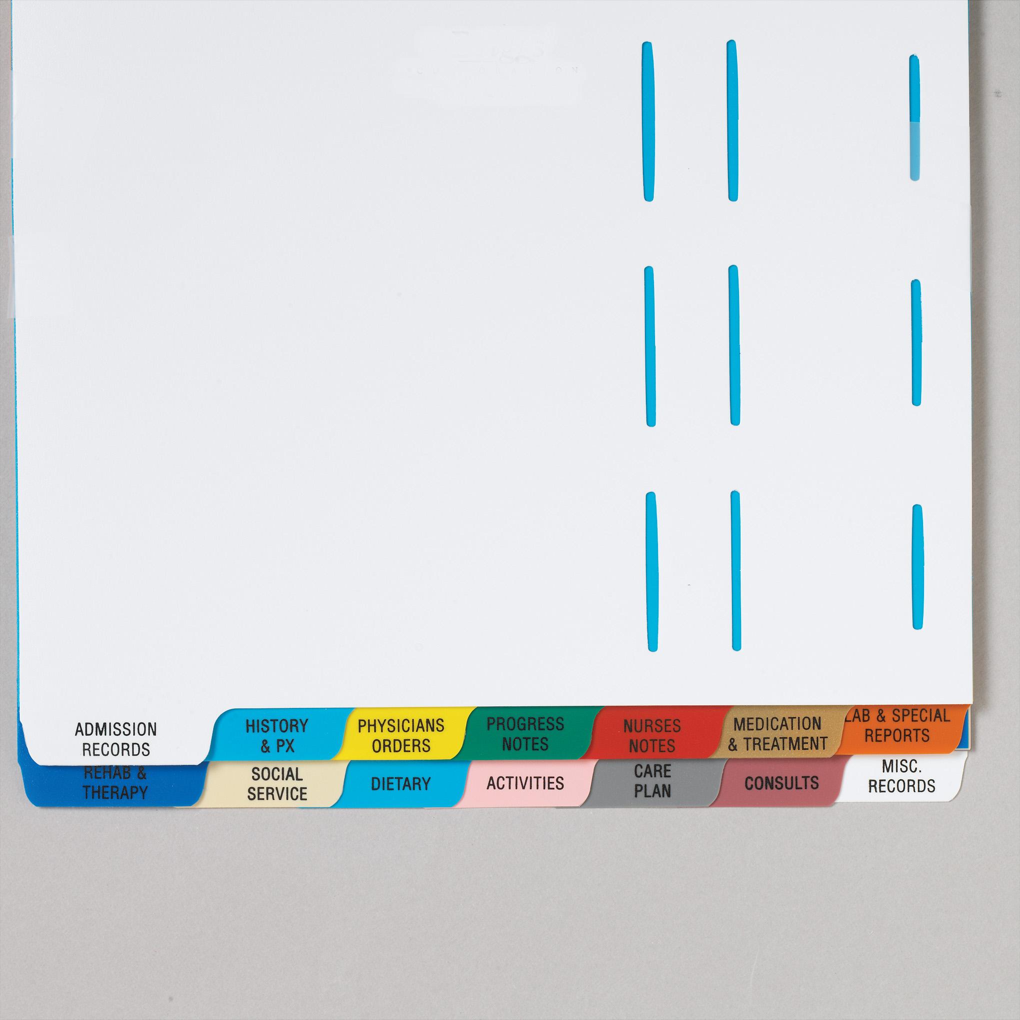 Long Term Care Chart Dividers