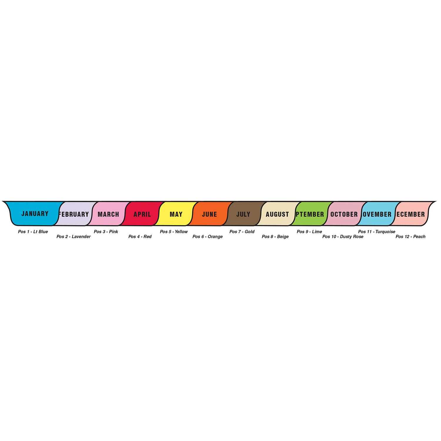 chart divider set poly 12 month jan dec 12 tabs bottom month tabs