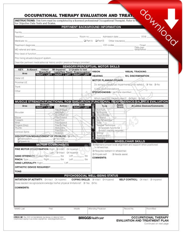 Occupational Therapy Evaluation and Treatment Plan - DIGITAL FORM