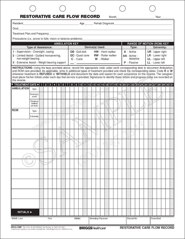Restorative Care Plan Printable